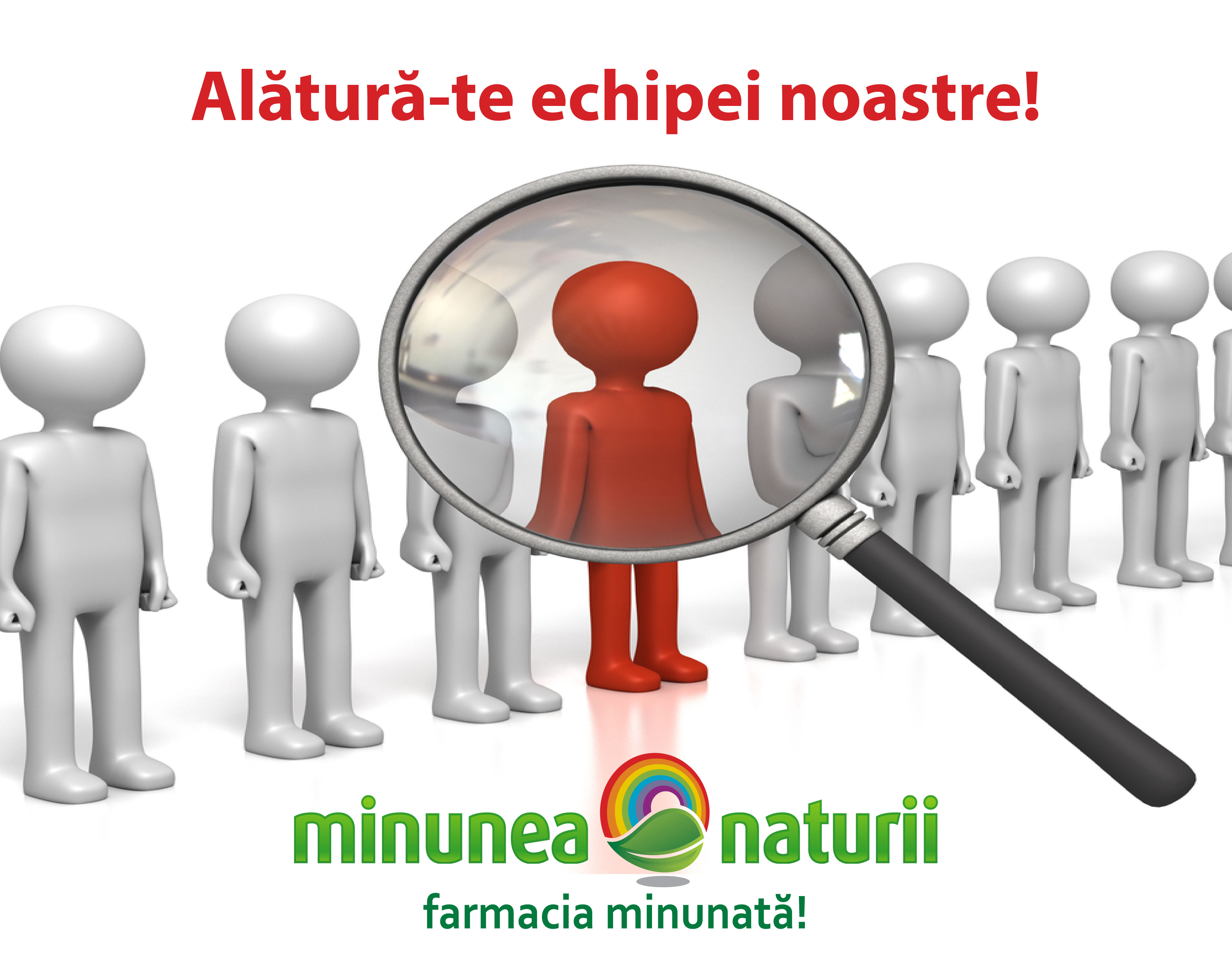 Minunea Naturii Angajeaza Oameni Minunati Blogul Minunea Naturii