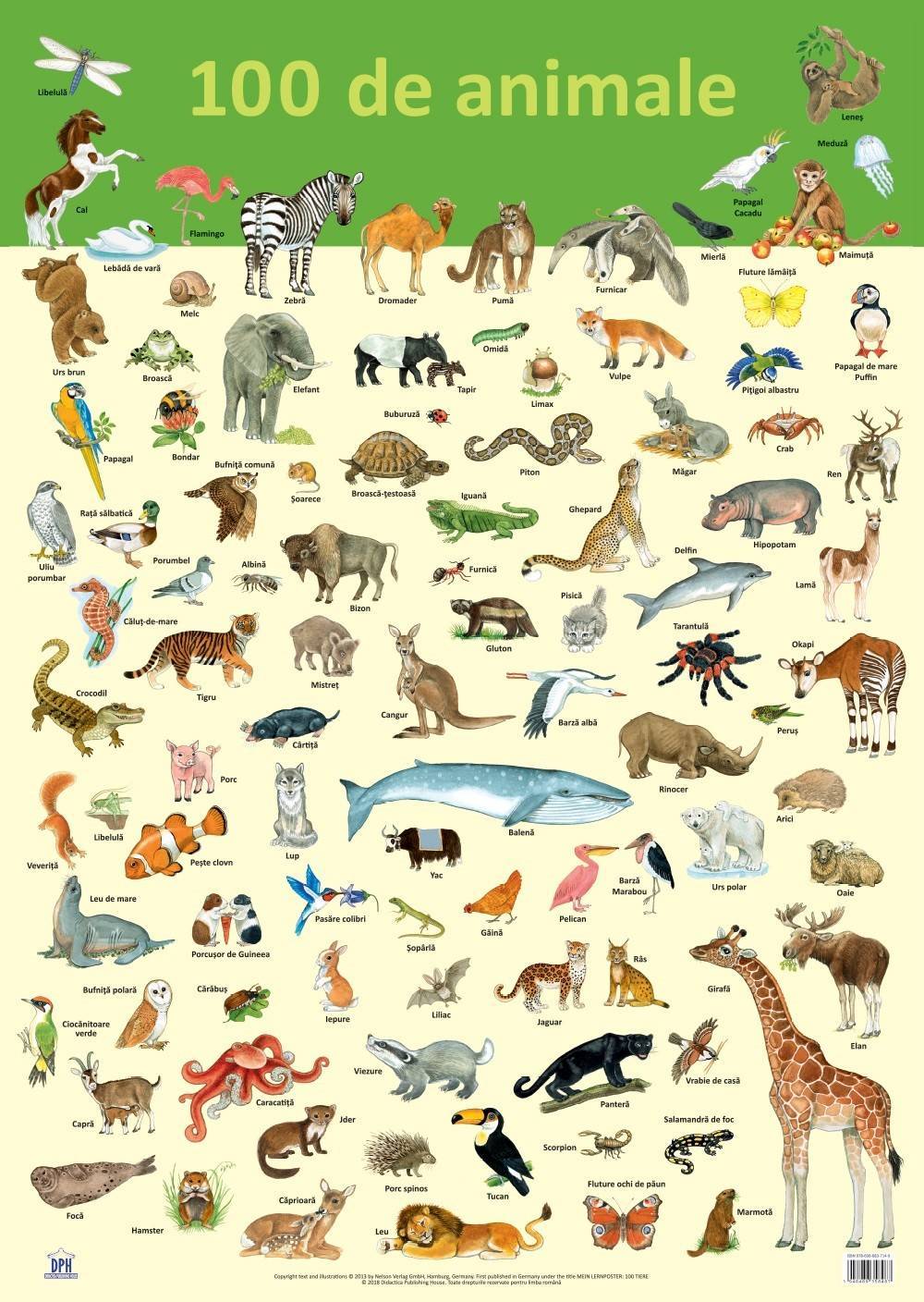 Plansa - 100 de animale - carte - DPH