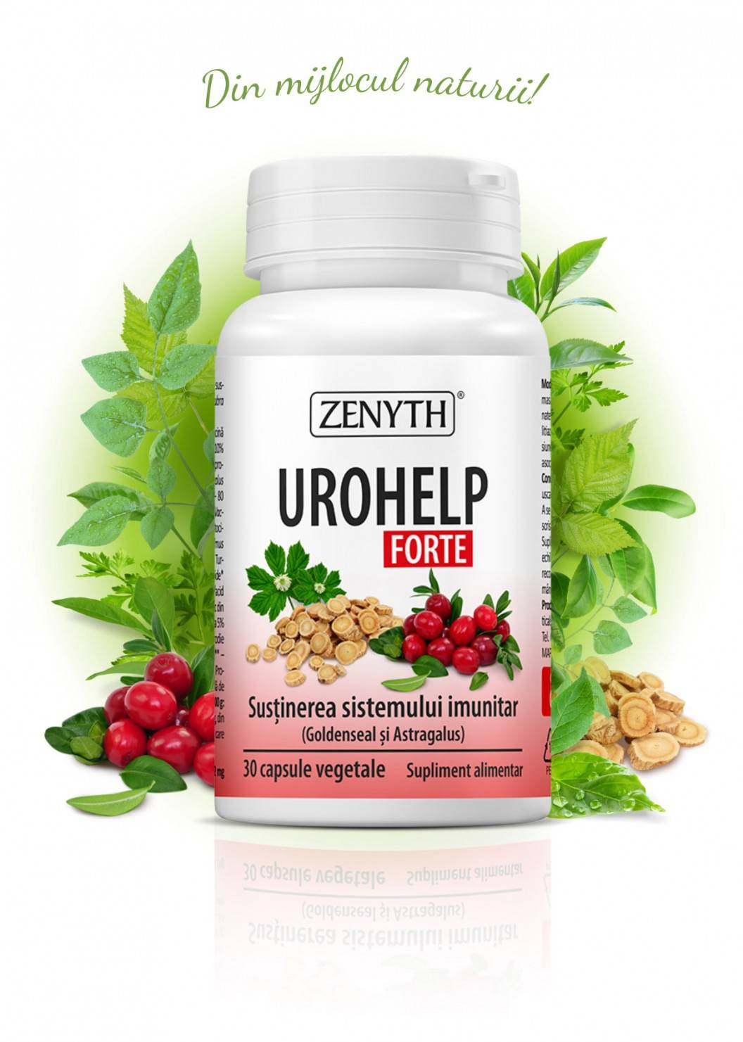 UroHelp Forte, 30cps - Zenyth