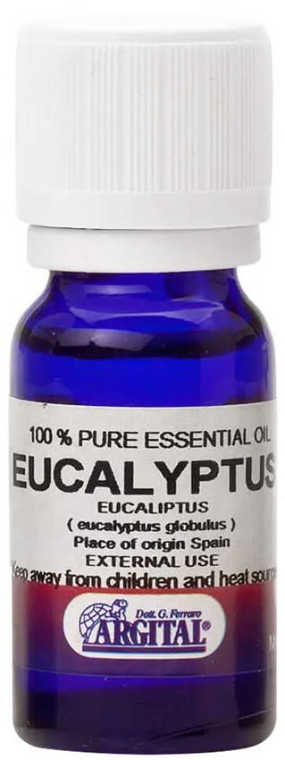 Ulei esential de eucalipt, 10ml - Argital