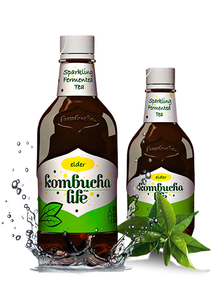 KOMBUCHA LIFE Cu Flori De Soc 500ml