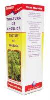 TINCTURA DE ANGELICA, 50ml - Favisan