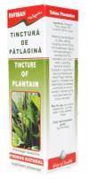 TINCTURA DE PATLAGINA, 50ml - Favisan