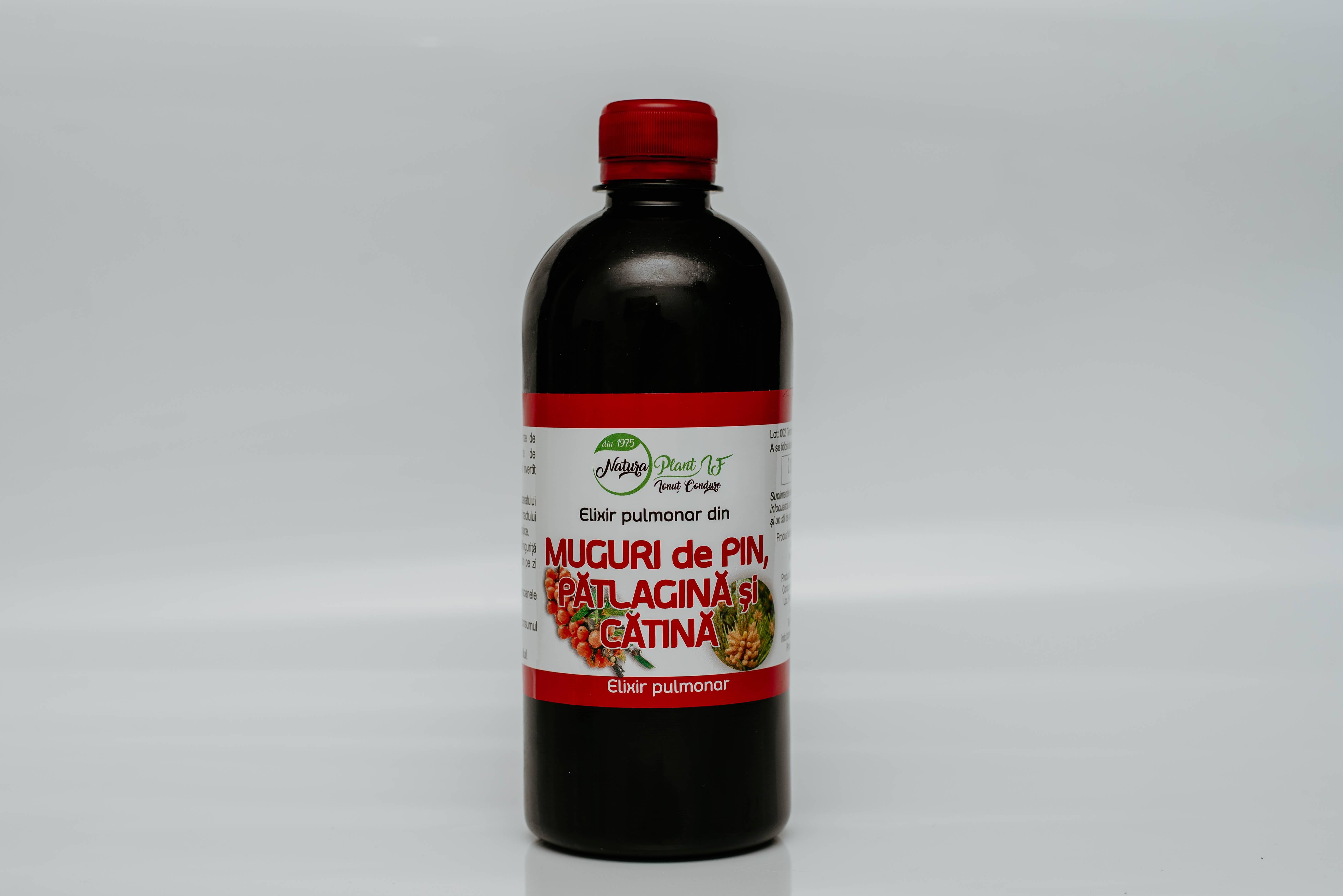 Elixir pulmonar din muguri de pin, patlagina si catina, 500ml – Natura Plant Poieni