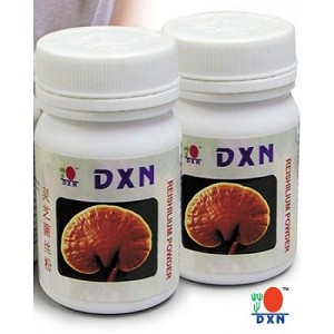 Ganoderma - Reishi Mushroom pulbere  22g - DXN Ganoderma