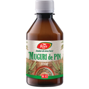 Muguri de pin sirop - 250ml - Fares