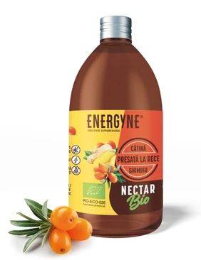 NECTAR DE CATINA CU GHIMBIR ECO-BIO 250ml - ENERGYNE