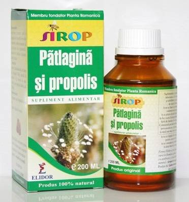 SIROP PATLAGINA SI PROPOLIS 100ml, Pontica Elidor