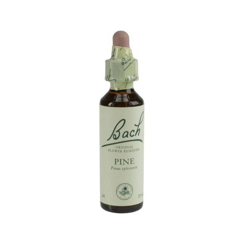Pine - Pin (Bach24) 20ml - Remediu Floral Bach