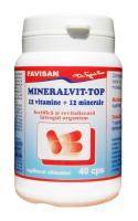 MINERALVIT TOP, 40cps - Favisan