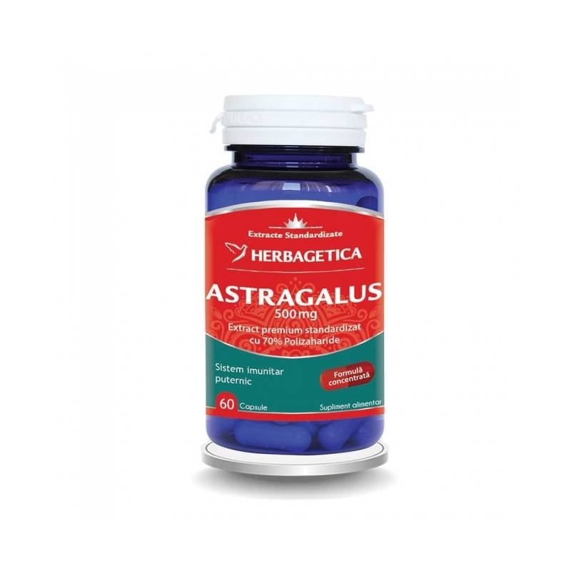 Astragalus, 500mg, 60cps si 30cps - Herbagetica