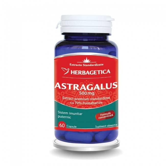 Astragalus, 500mg, 60cps si 30cps - Herbagetica 60 capsule