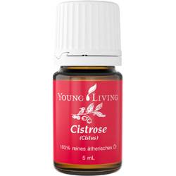 Ulei esential de Cistus 5ml - Young Living