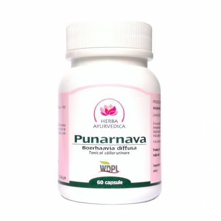 Punarnava, tonic al cailor urinare 500mg, 60cps - Herba Ayurvedica