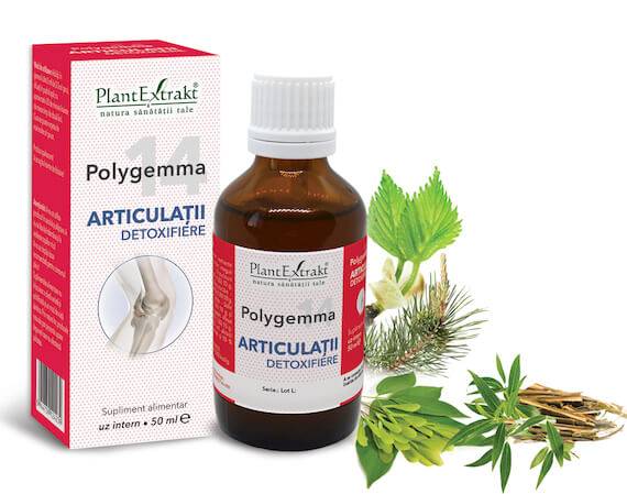 Polygemma 14 - Articulatii detoxifiere 50ml Plantextrakt