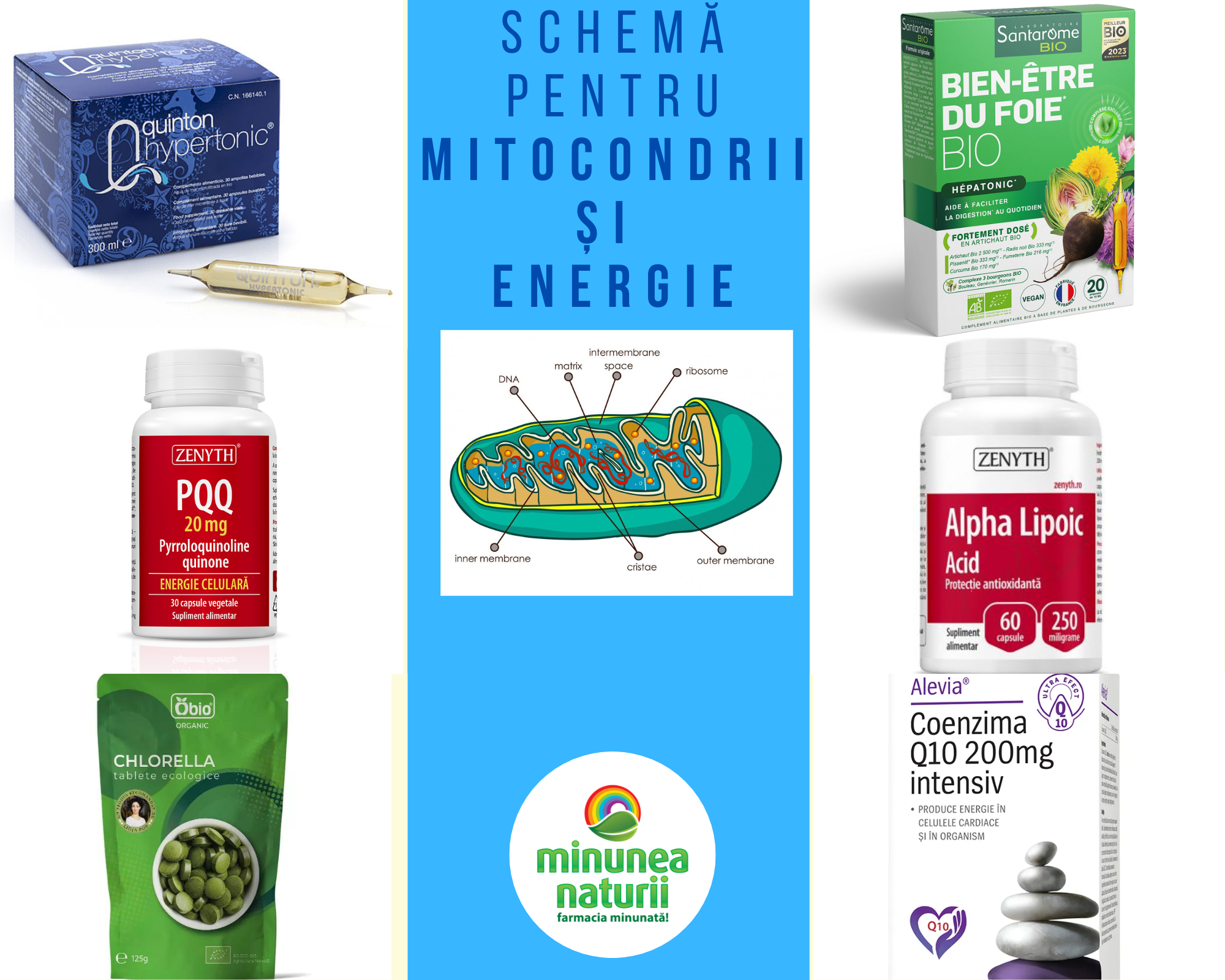 Schema detoxifiere si optimizare mitocondrii - energie si vitalitate