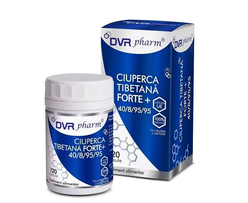 Ciuperca Tibetana Forte, 120 capsule, DVR Pharm