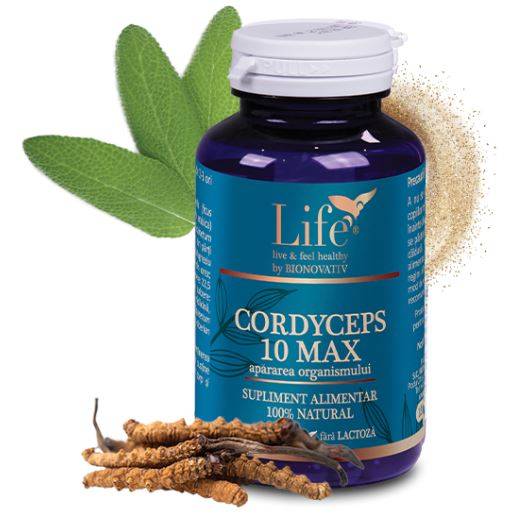 CORDYCEPS 10 MAX 120 capsule - DVR Pharm