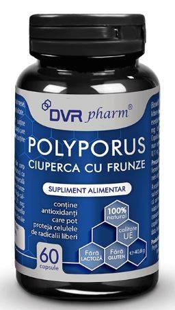 Polyporus 60 capsule - DVR Pharm