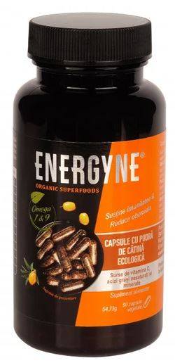 PUDRA DE CATINA Capsule ECO-BIO 90cps - ENERGYNE