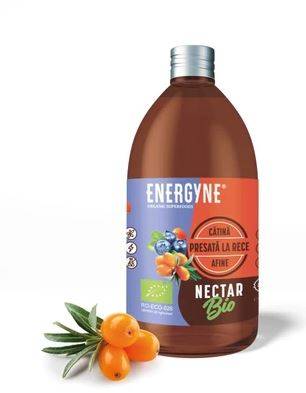 NECTAR DE CATINA CU AFINE ECO-BIO 250ml - ENERGYNE