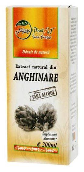 Extract Din Anghinare Fara Alcool 200ml - NATURA PLANT POIENI