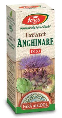 Anghinare extract hidrogliceric fara alcool D153, 50ml - Fares