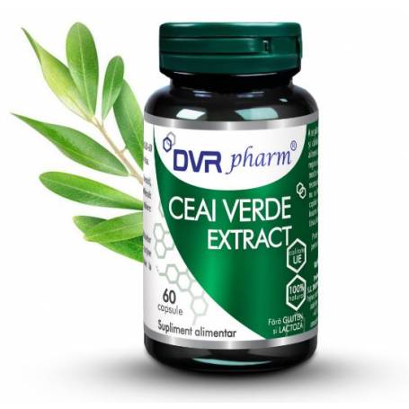 Ceai Verde Extract 60 capsule - DVR Pharm