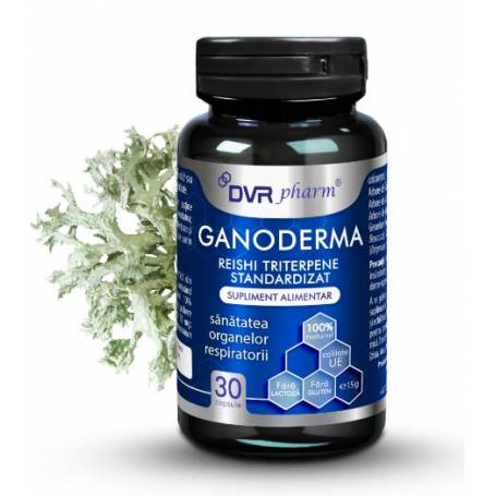 Ganoderma, Reishi Triterpene Standardizat 30 capsule - DVR Pharm