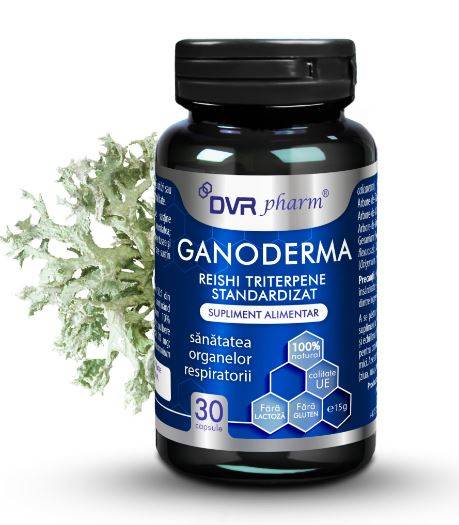 Ganoderma, Reishi Triterpene Standardizat 30 capsule - DVR Pharm