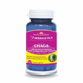 CHAGA antioxidant, 60 capsule, Herbagetica