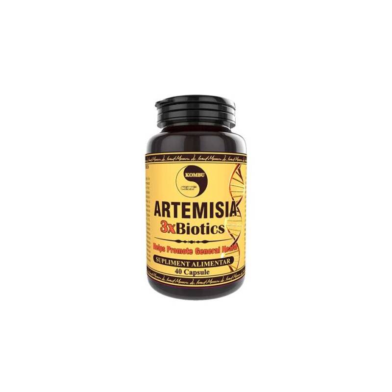 Artemisia 3 X Biotics, 40 capsule, Medica - Pro Natura