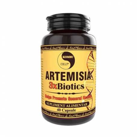 Artemisia 3 X Biotics, 40 capsule, Medica - Pro Natura