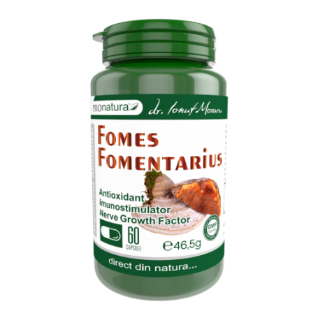 Fomes Fomentarius, ciuperca cu rol antioxidant, imunostimulator, 60 capsule, Medica - Pro Natura