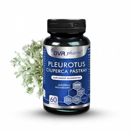 Pleurotus - Ciuperca Pastrav, sustine echilibrul microbiotic, 60 capsule, Dvr Pharm