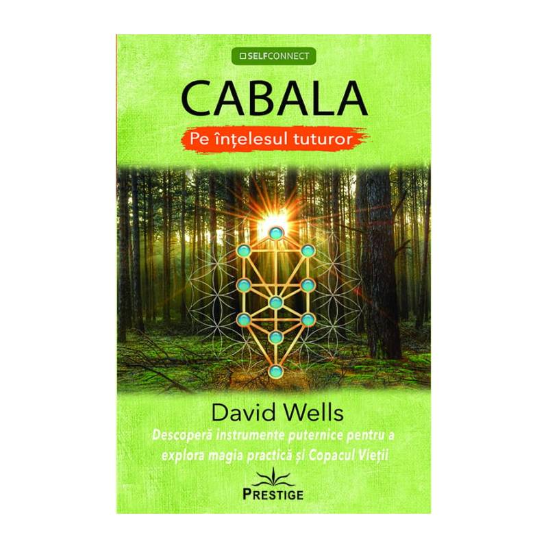 CABALA PE INTELESUL TUTUROR - DAVID WELLS - carte - Editura Prestige