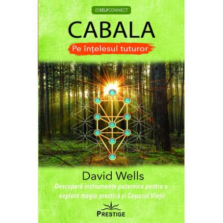 CABALA PE INTELESUL TUTUROR - DAVID WELLS - carte - Editura Prestige