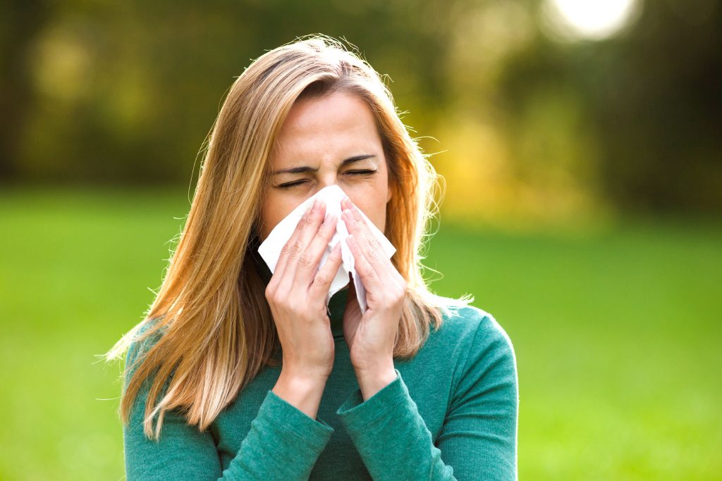 Alergia la ambrozie, de ce apare si cum o putem trata eficient