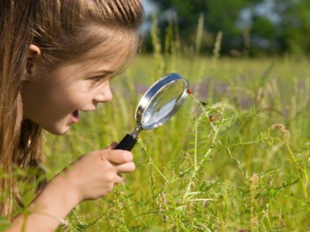 Probleme cu imunitatea? Ai incredere in intelepciunea naturii!