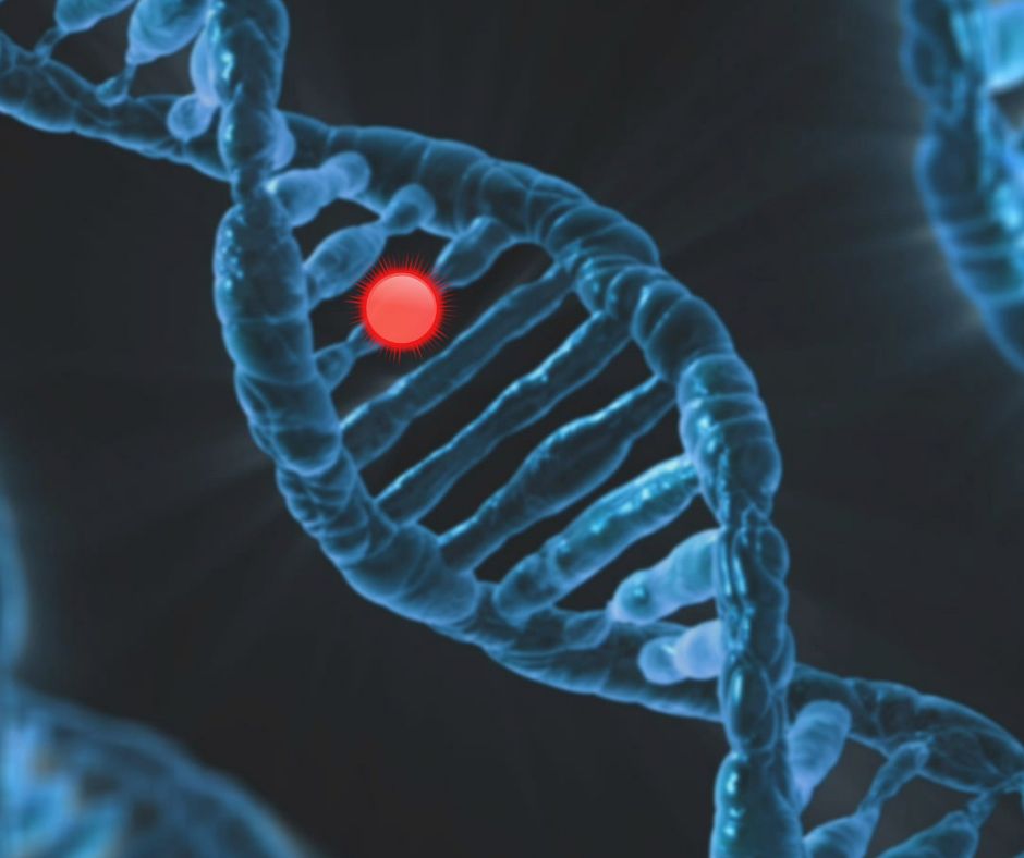 Rolul Epigeneticii în prevenirea sau dezvoltarea cancerului: cum stilul de viață poate „activa” sau „dezactiva” genele care favorizează tumorile