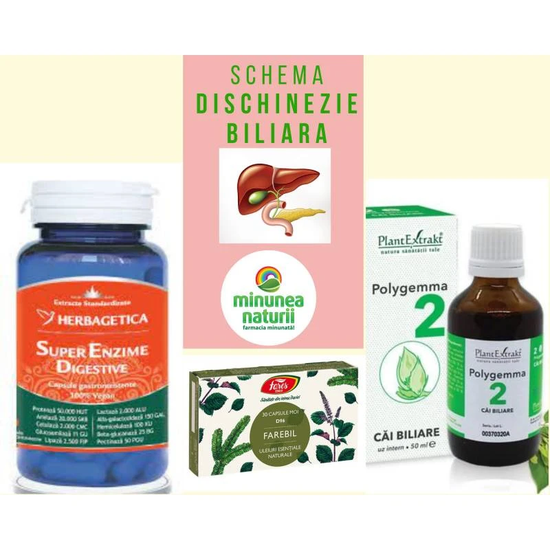 Schema fiere lenesa, dischinezie biliară